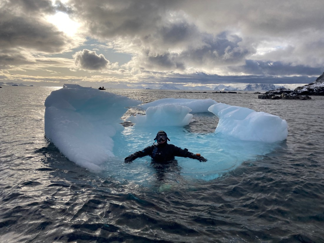 Iceberg