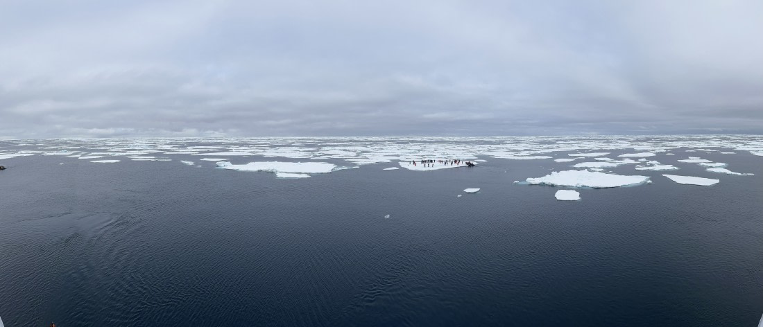 Landing on pack ice