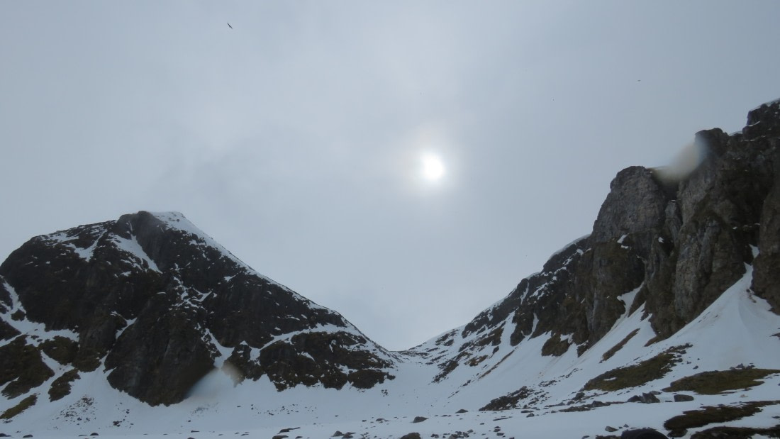 Sol Artico