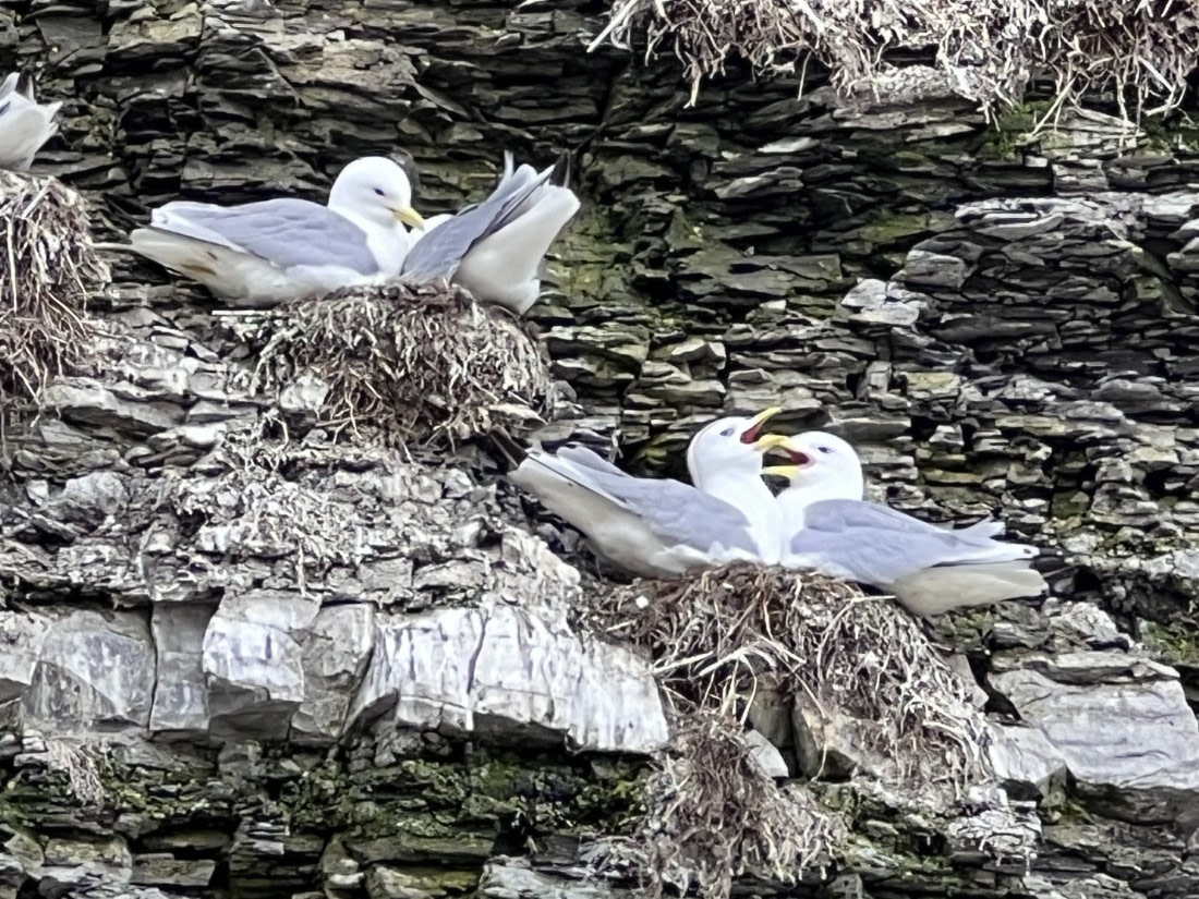 Making life after a long winter