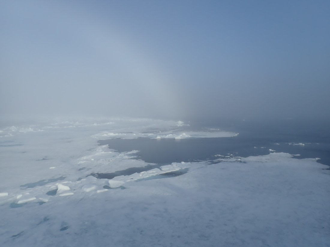 fogbow
