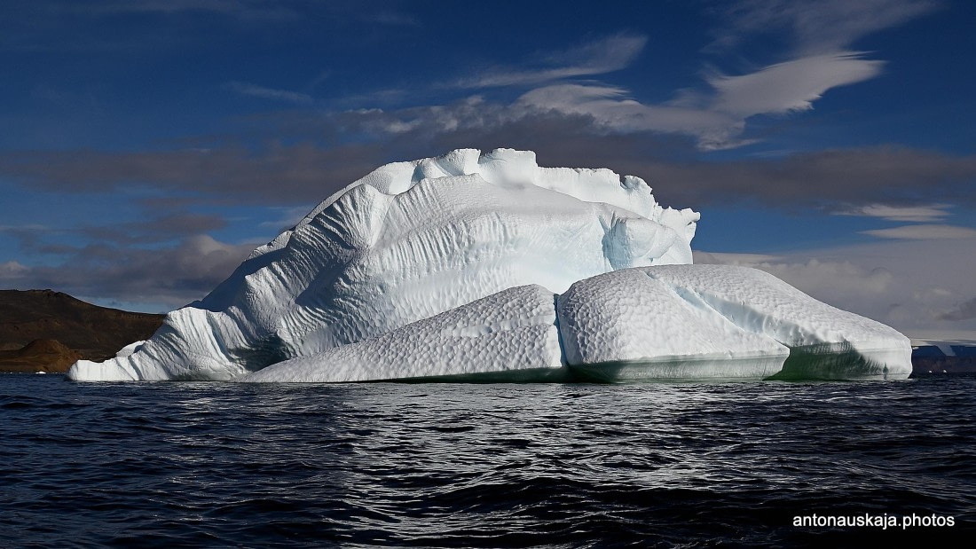Ice dragon