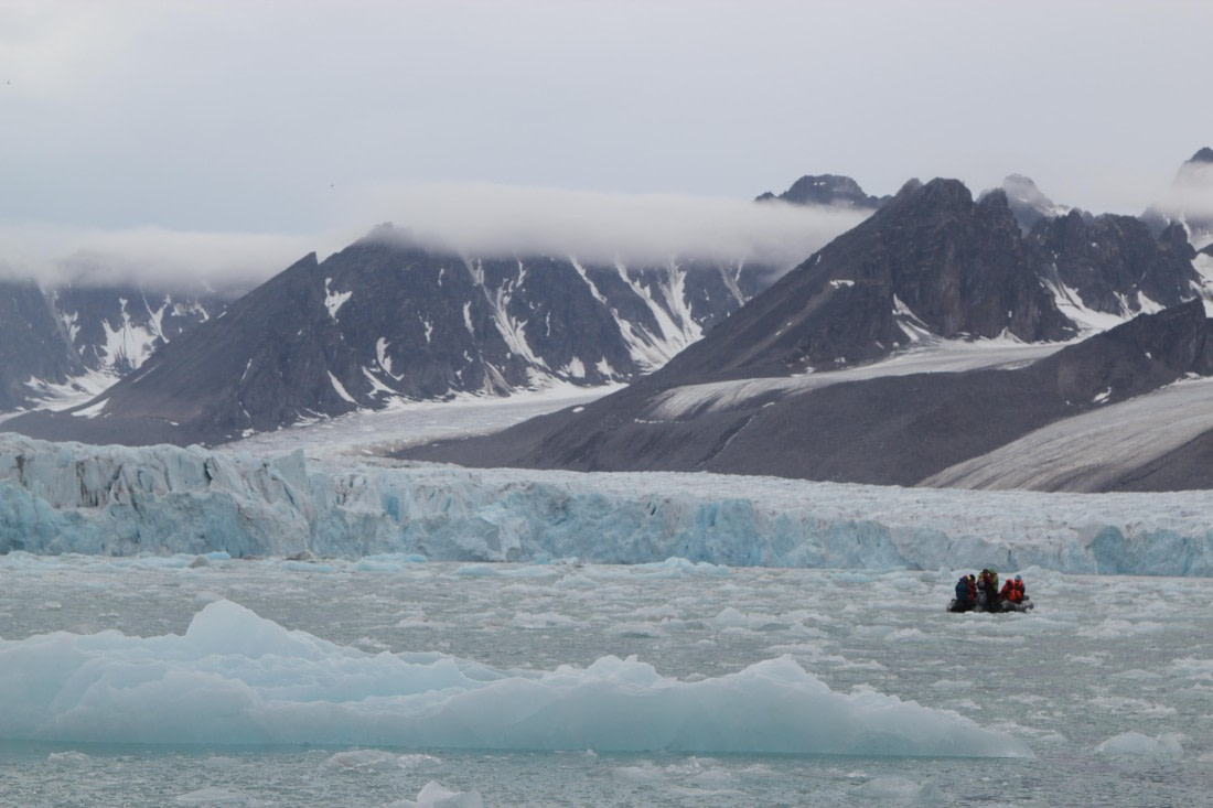 Arctic memory