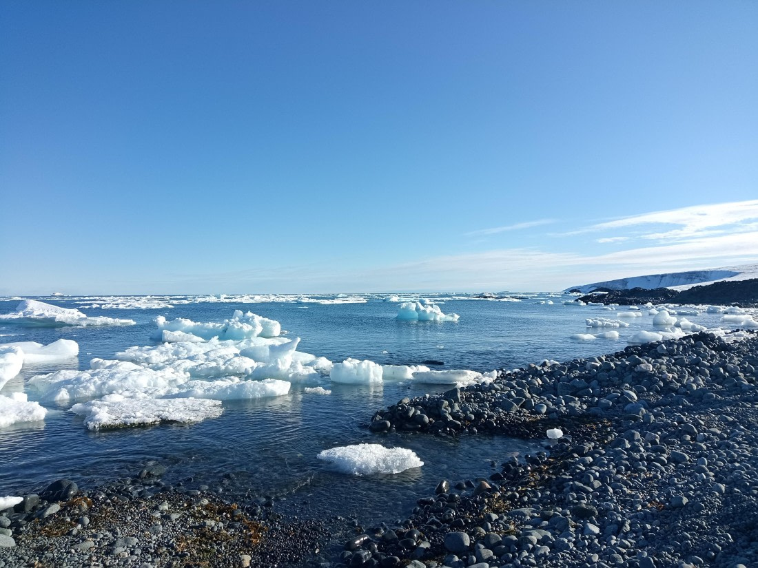 Kvitøya