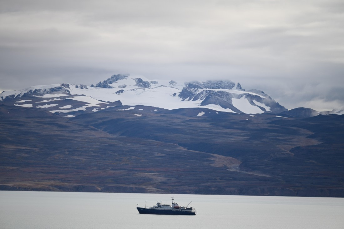 Ice cap and Plancius