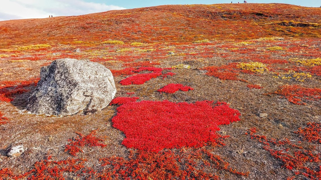 Red Island