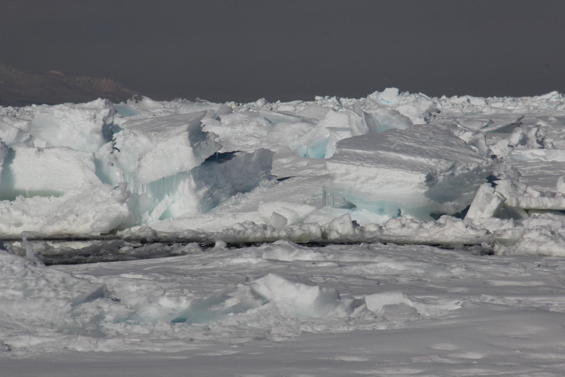 Pack Ice from an ice floe, New Harbour