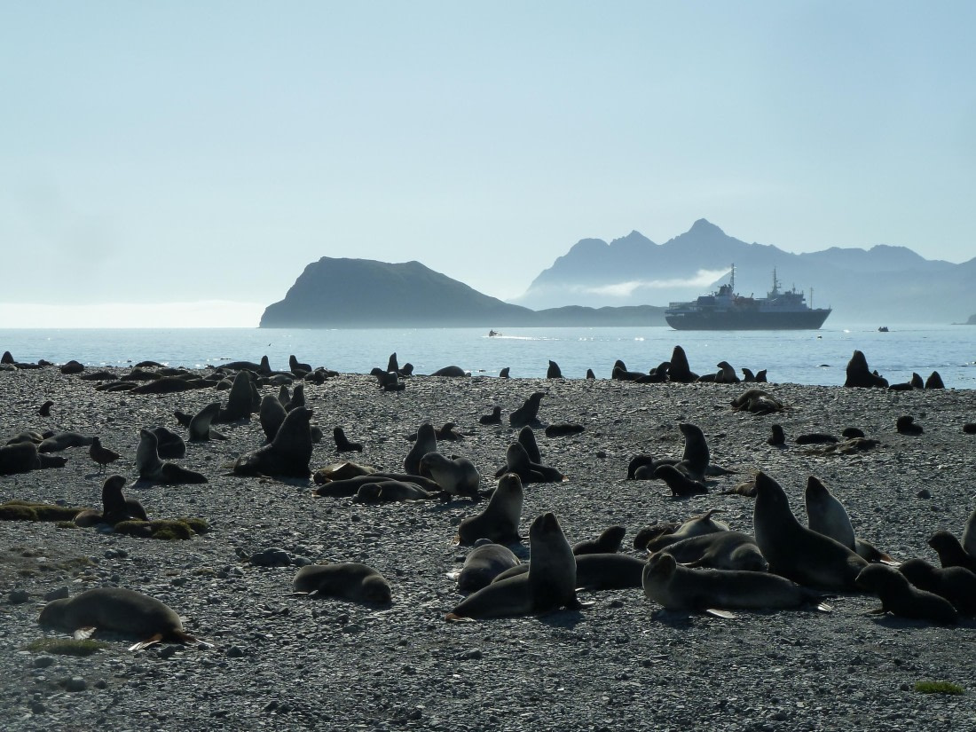 crowded beach