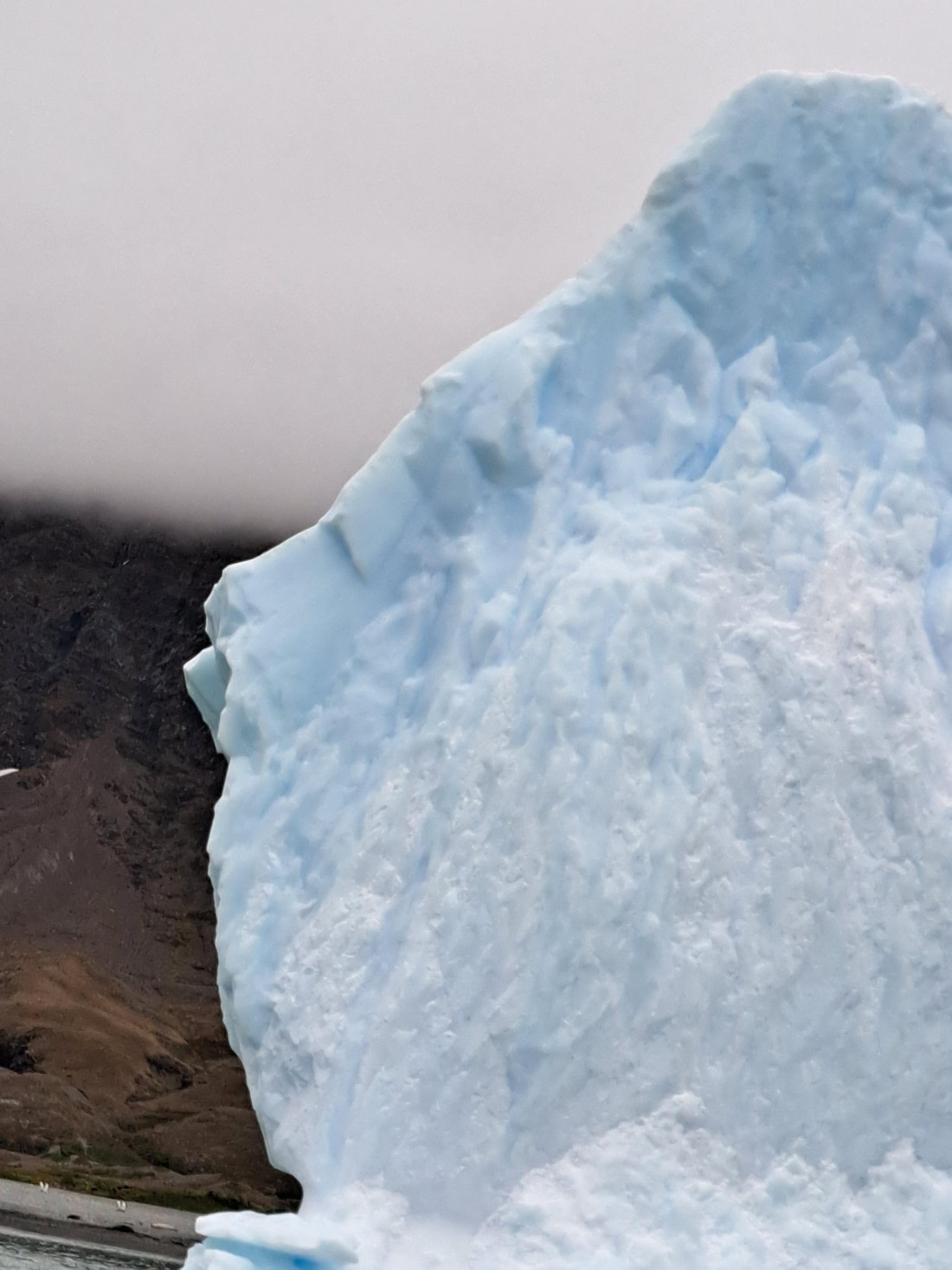 "Lion" Iceberg