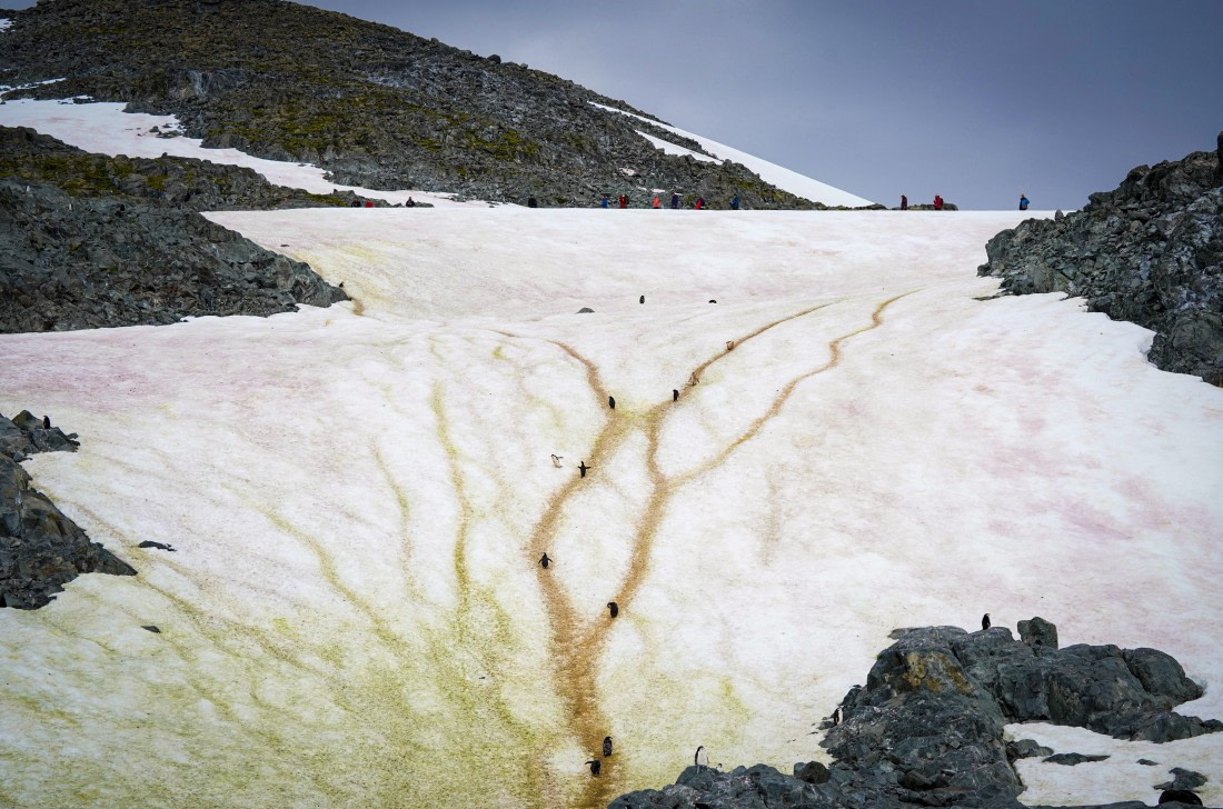 Highway in Artarctica