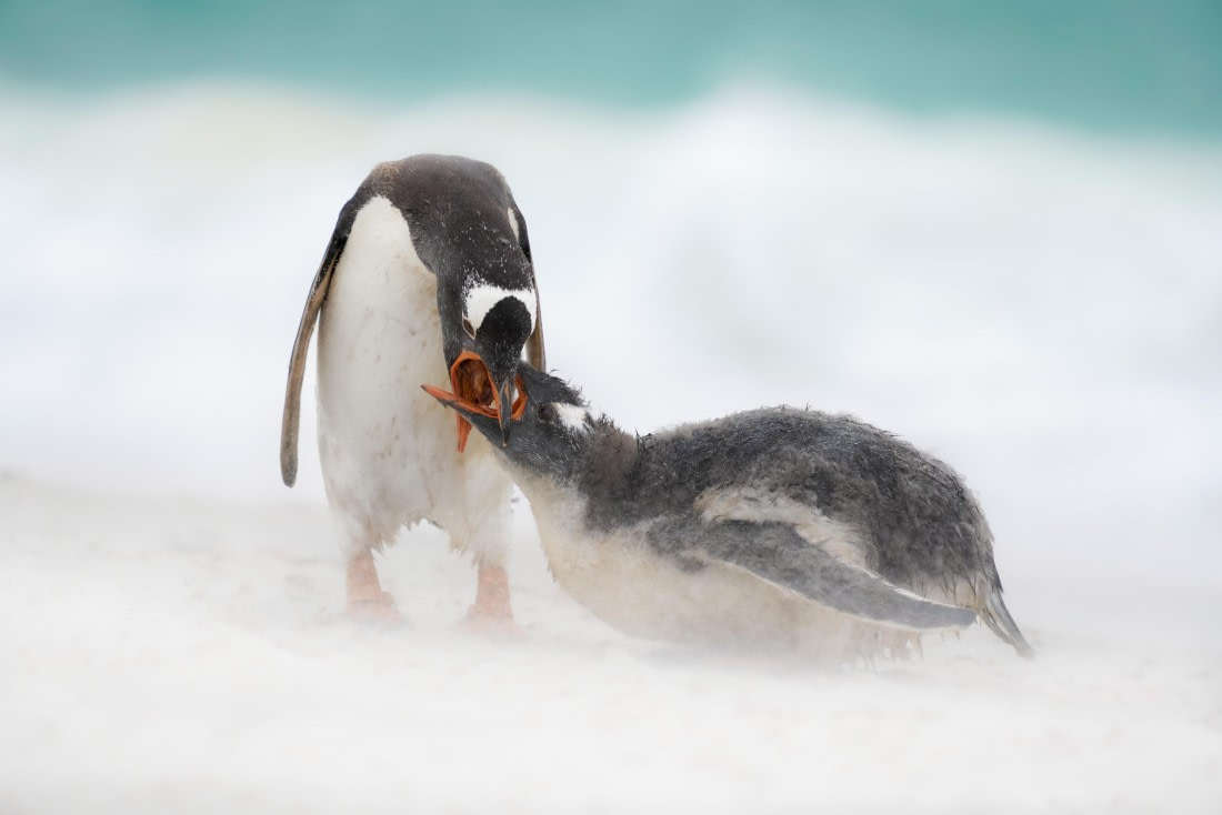 Eating on the beach