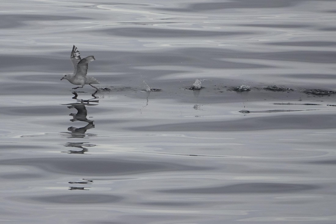Running on water