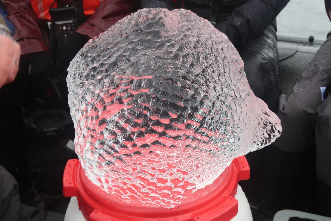 The Orb