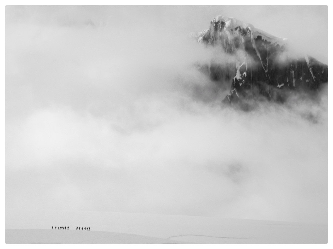 The White Abyss