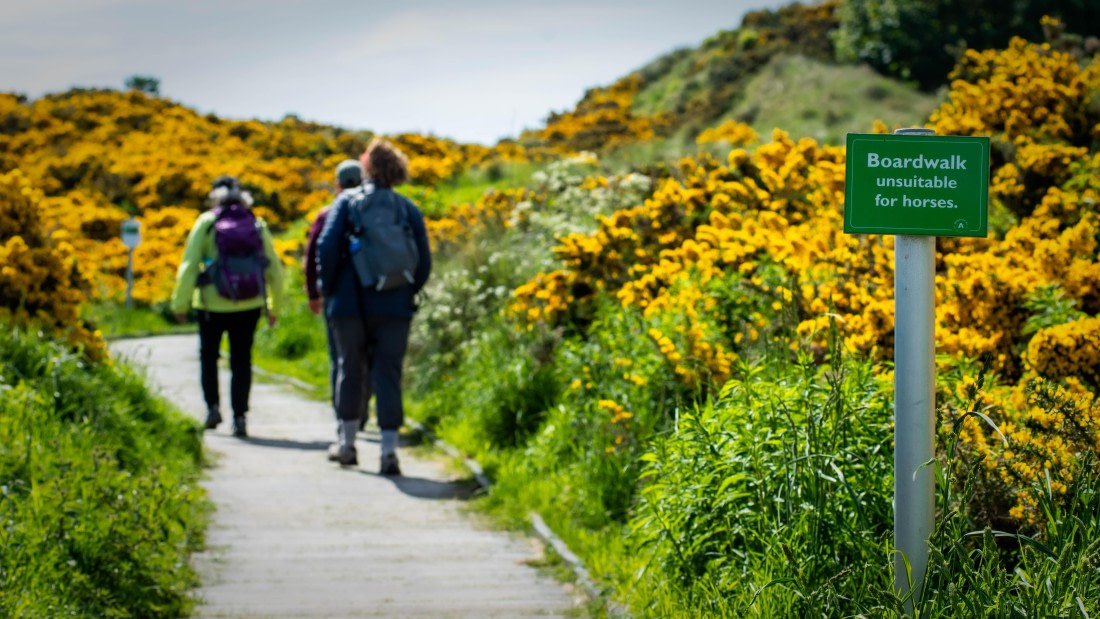 PLA01-24, Day 3, PAZ_3786 © Alexander Romanovskiy - Oceanwide Expeditions.jpg