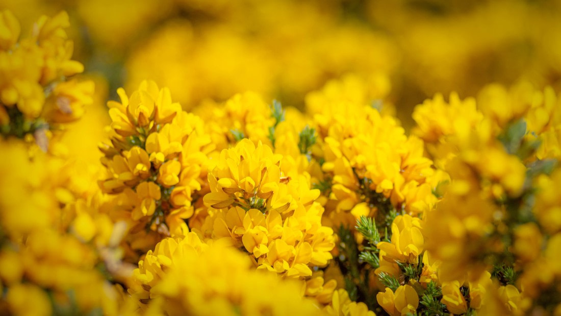 PLA01-24, Day 3, PAZ_3854 © Alexander Romanovskiy - Oceanwide Expeditions.jpg