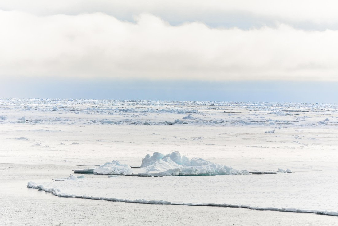 HDS03-24, Day 4, _DSC3894 © Unknown photographer - Oceanwide Expeditions.jpg