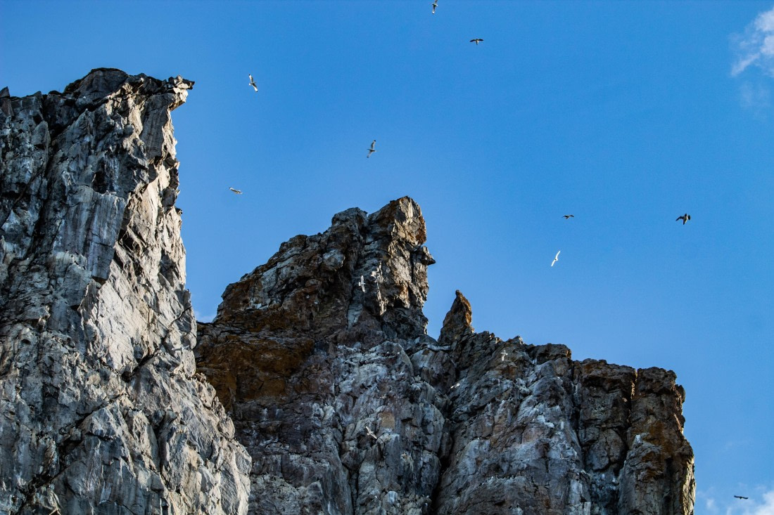 PLA03-24, Day 2, IMG_4407 © Unknown photographer - Oceanwide Expeditions.jpg