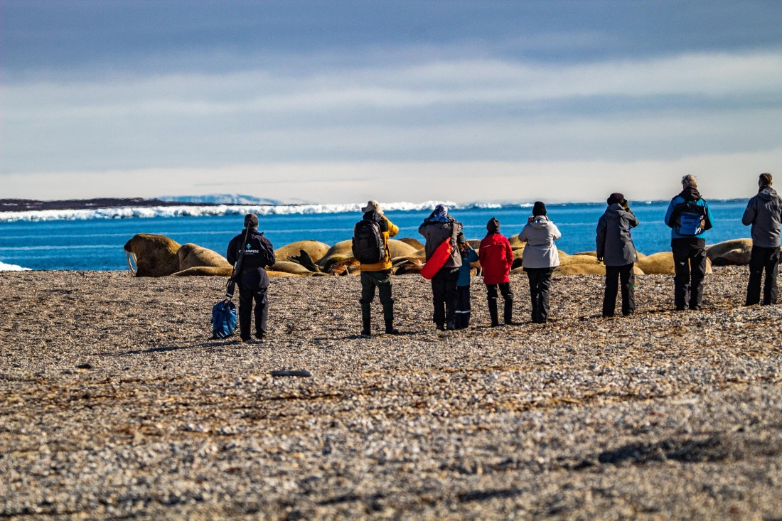 PLA03-24, Day 4, IMG_5025 © Unknown photographer - Oceanwide Expeditions.jpg