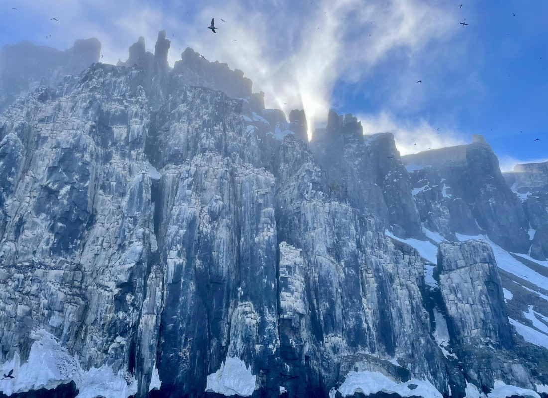 OTL03-24, Day 4, Alkefjellet-Barbara Post (4)© Barbara Post - Oceanwide Expeditions.jpeg