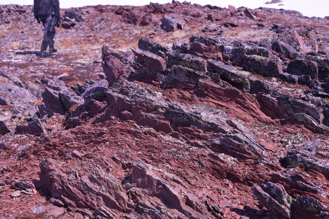 PLA04-24, Day 2, IMG_8717 © Beth Hitchcock - Oceanwide Expeditions.JPG