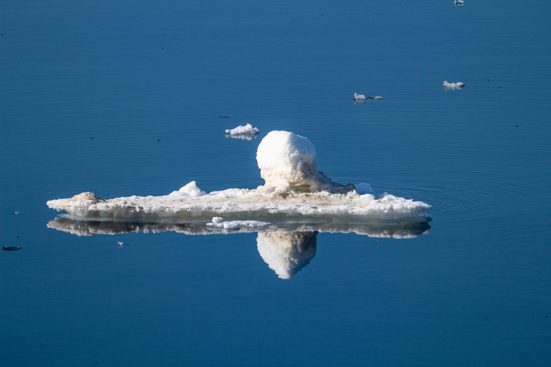 PLA04-24, Day 3, IMG_5679 © Unknown photographer - Oceanwide Expeditions.jpg