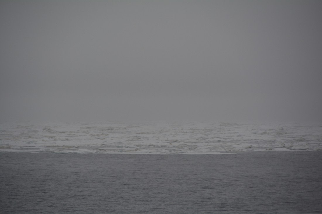 PLA04-24, Day 5, DSC_0561 © Paolo Bellezze - Oceanwide Expeditions.jpg