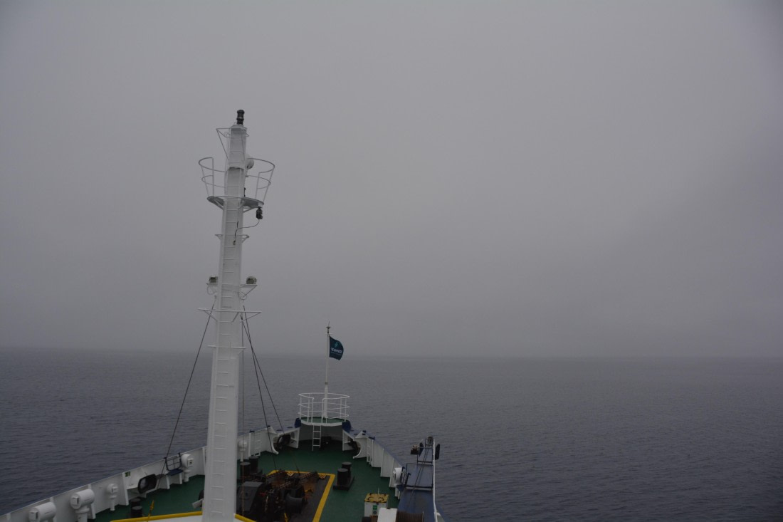 PLA04-24, Day 5, DSC_0562 © Paolo Bellezze - Oceanwide Expeditions.jpg