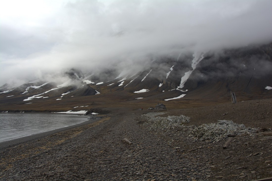 PLA04-24, Day 5, DSC_0609 © Paolo Bellezze - Oceanwide Expeditions.jpg