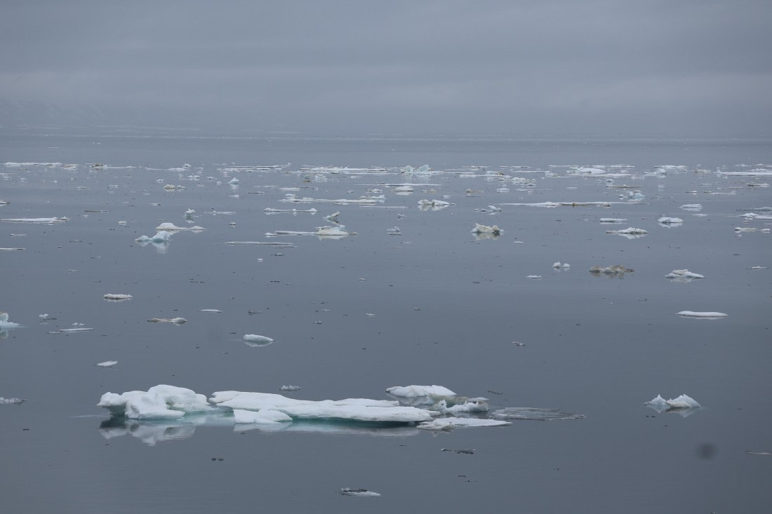 PLA04-24, Day 5, IMG_8843 © Beth Hitchcock - Oceanwide Expeditions.JPG