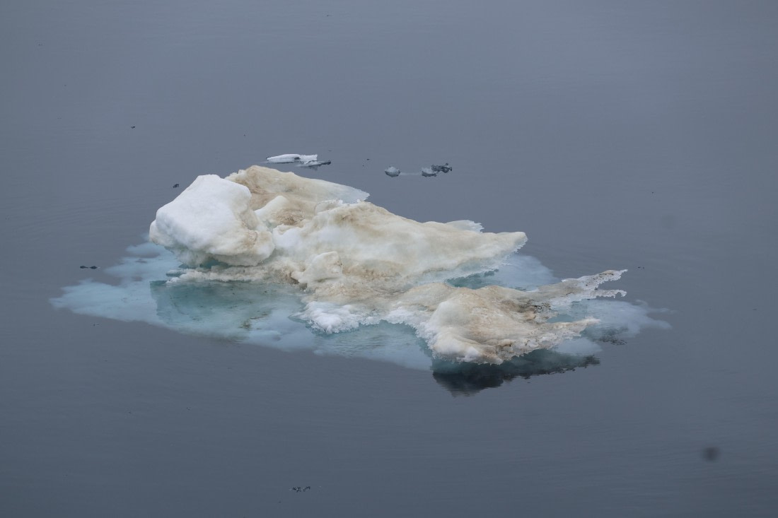 PLA04-24, Day 5, IMG_8844 © Beth Hitchcock - Oceanwide Expeditions.JPG