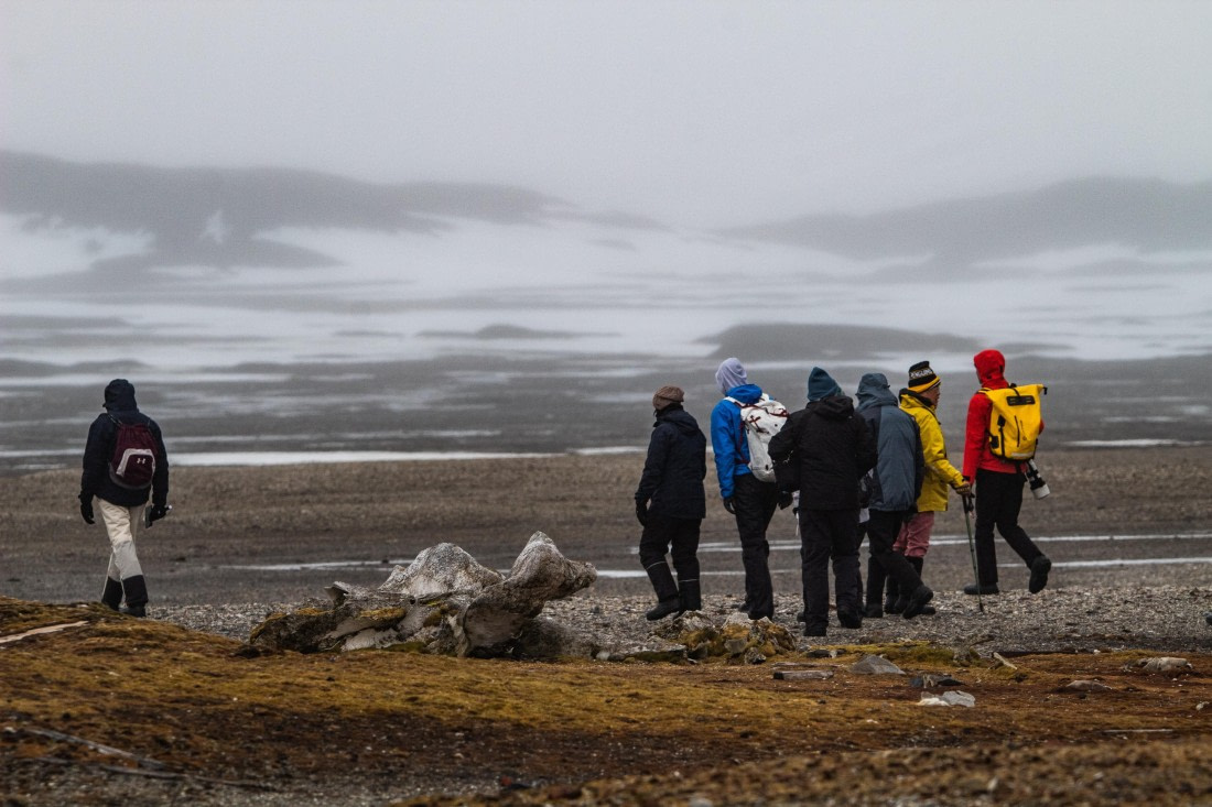 PLA04-24, Day 6, IMG_5941 © Unknown photographer - Oceanwide Expeditions.jpg