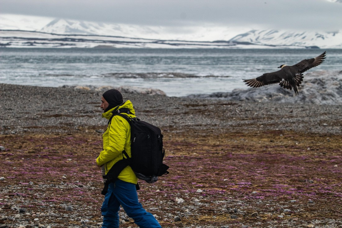 PLA04-24, Day 6, IMG_6000 © Unknown photographer - Oceanwide Expeditions.jpg