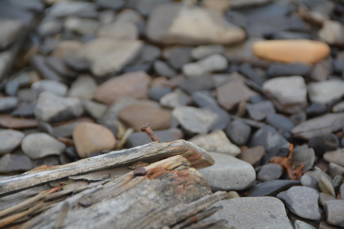 PLA04-24, Day 7, DSC_0621 © Paolo Bellezze - Oceanwide Expeditions.jpg