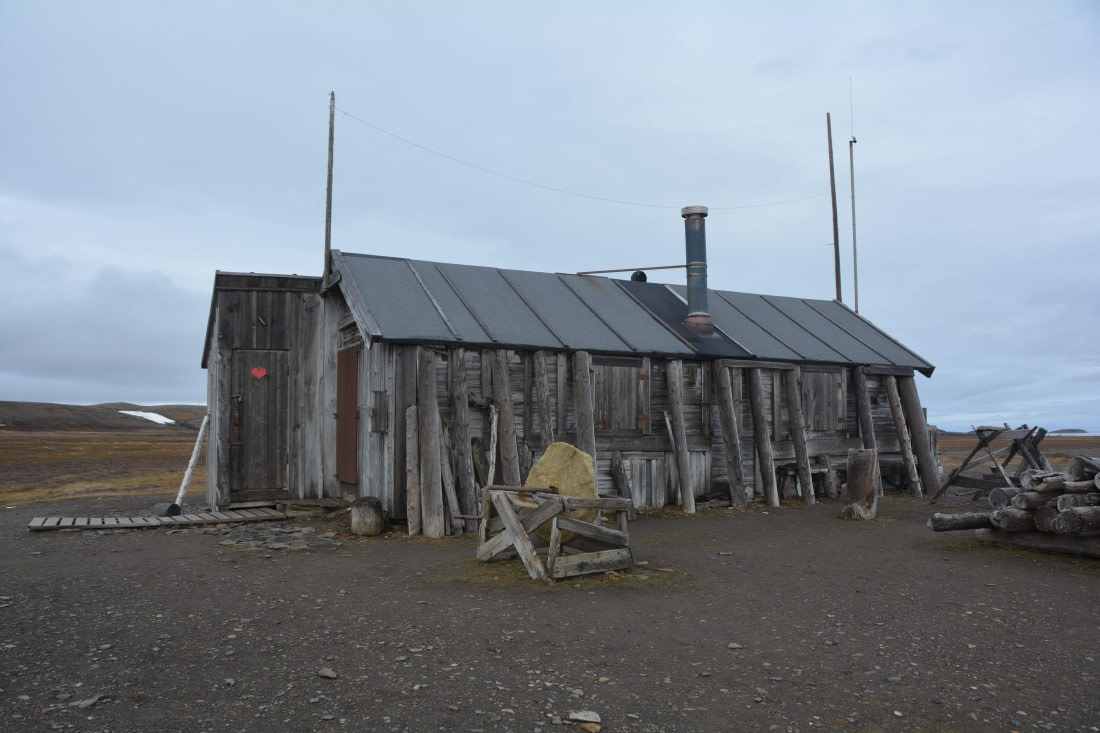 PLA04-24, Day 7, DSC_0626 © Paolo Bellezze - Oceanwide Expeditions.jpg