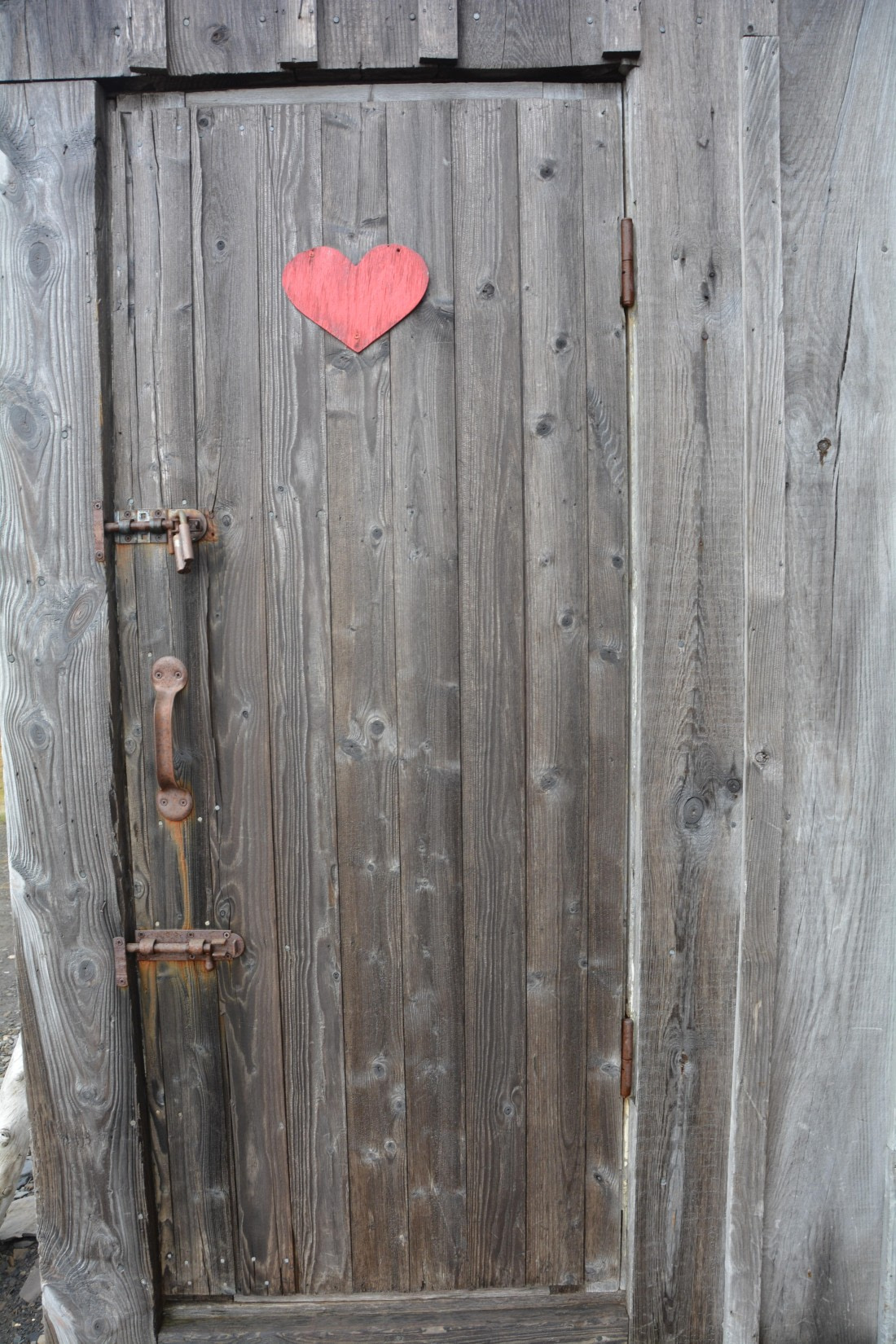 PLA04-24, Day 7, DSC_0628 © Paolo Bellezze - Oceanwide Expeditions.jpg