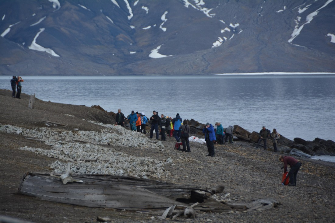 PLA04-24, Day 7, DSC_0631 © Paolo Bellezze - Oceanwide Expeditions.jpg
