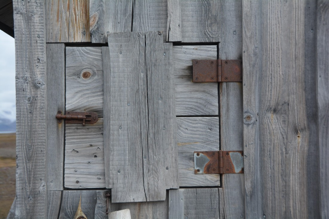 PLA04-24, Day 7, DSC_0632 © Paolo Bellezze - Oceanwide Expeditions.jpg