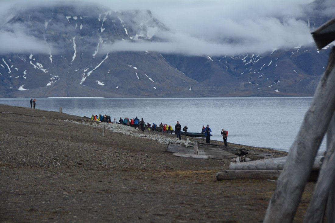 PLA04-24, Day 7, DSC_0633 © Paolo Bellezze - Oceanwide Expeditions.jpg