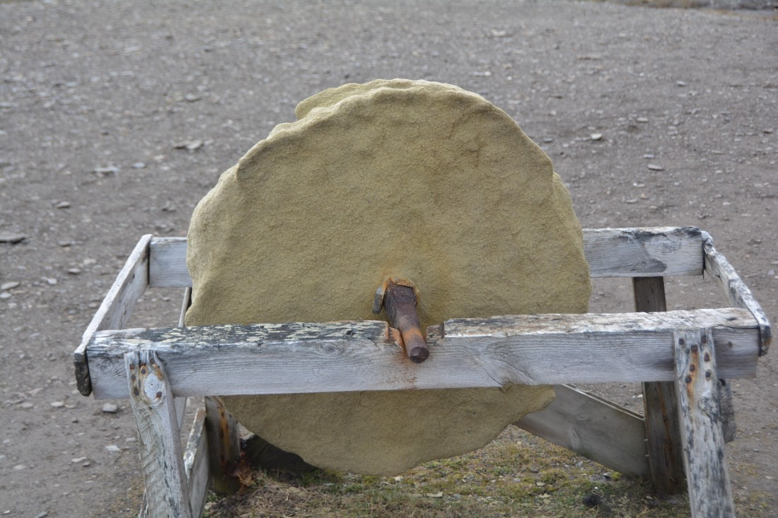 PLA04-24, Day 7, DSC_0635 © Paolo Bellezze - Oceanwide Expeditions.jpg