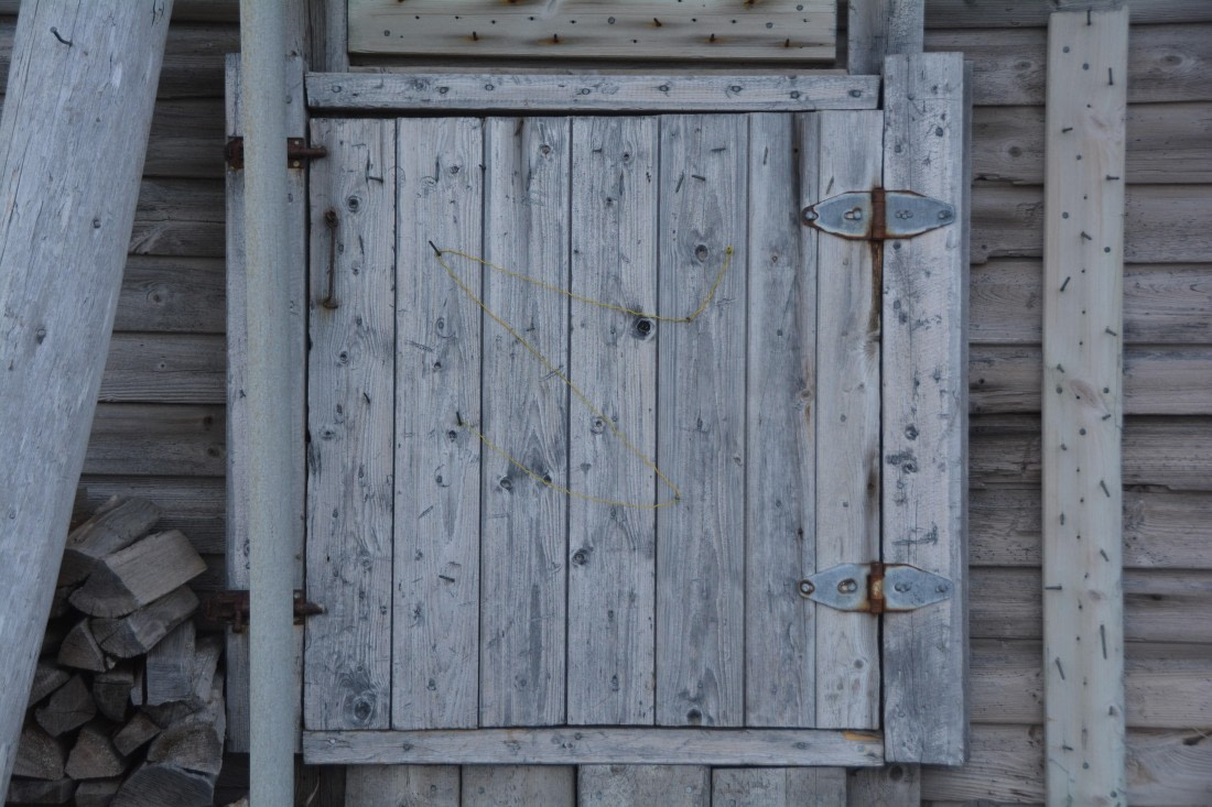 PLA04-24, Day 7, DSC_0636 © Paolo Bellezze - Oceanwide Expeditions.jpg