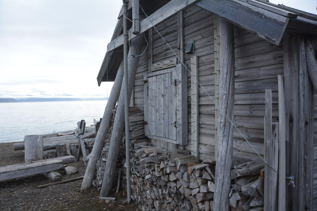 PLA04-24, Day 7, DSC_0637 © Paolo Bellezze - Oceanwide Expeditions.jpg
