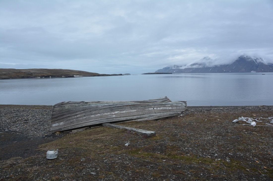 PLA04-24, Day 7, DSC_0638 © Paolo Bellezze - Oceanwide Expeditions.jpg