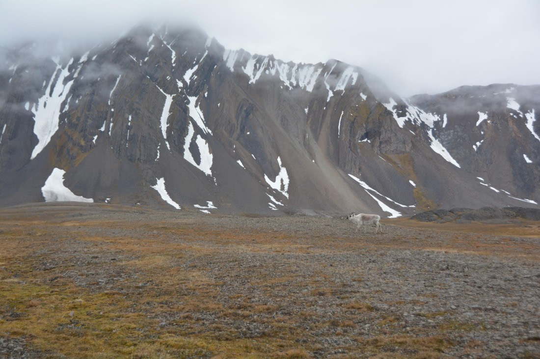 PLA04-24, Day 7, DSC_0657 © Paolo Bellezze - Oceanwide Expeditions.jpg