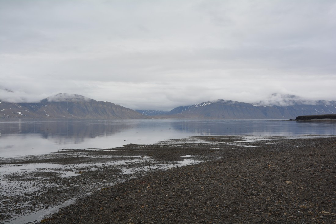 PLA04-24, Day 7, DSC_0663 © Paolo Bellezze - Oceanwide Expeditions.jpg