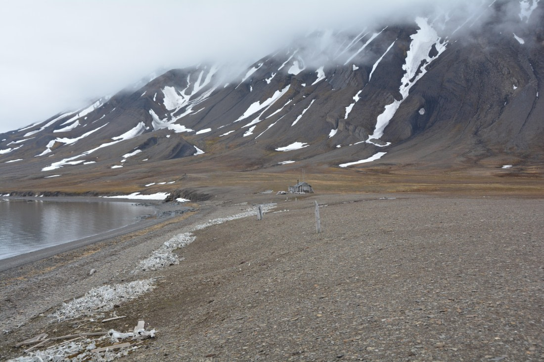 PLA04-24, Day 7, DSC_0664 © Paolo Bellezze - Oceanwide Expeditions.jpg