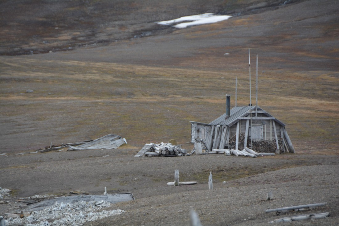 PLA04-24, Day 7, DSC_0665 © Paolo Bellezze - Oceanwide Expeditions.jpg