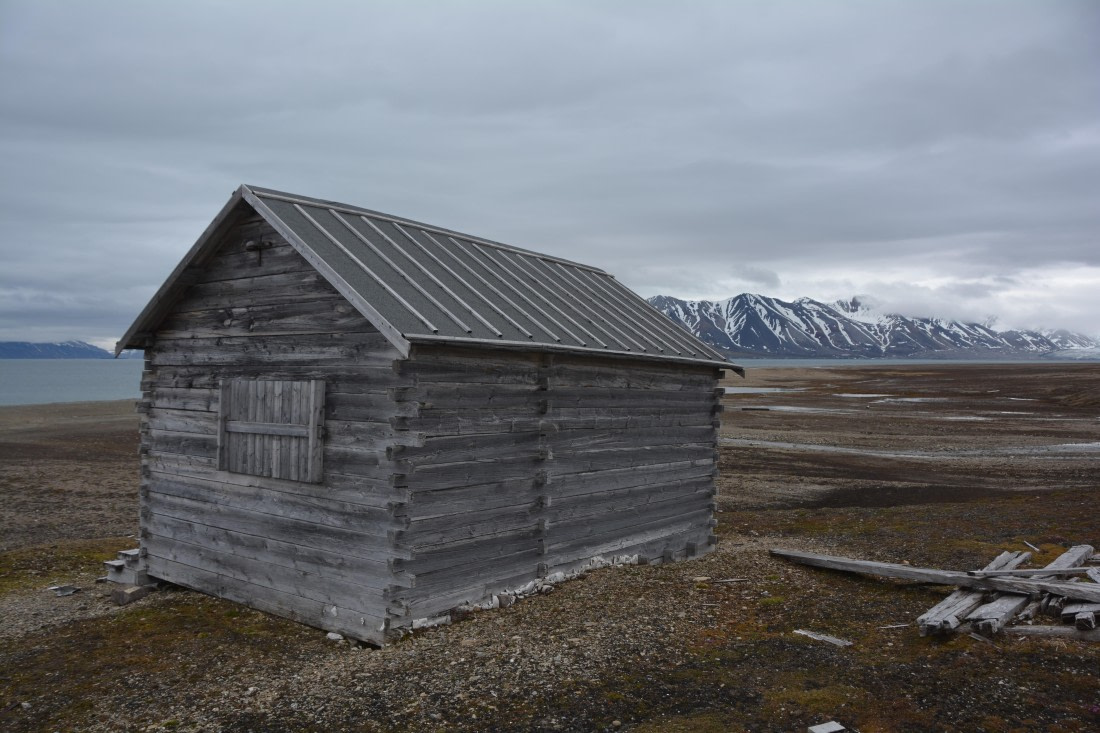 PLA04-24, Day 7, DSC_0667 © Paolo Bellezze - Oceanwide Expeditions.jpg