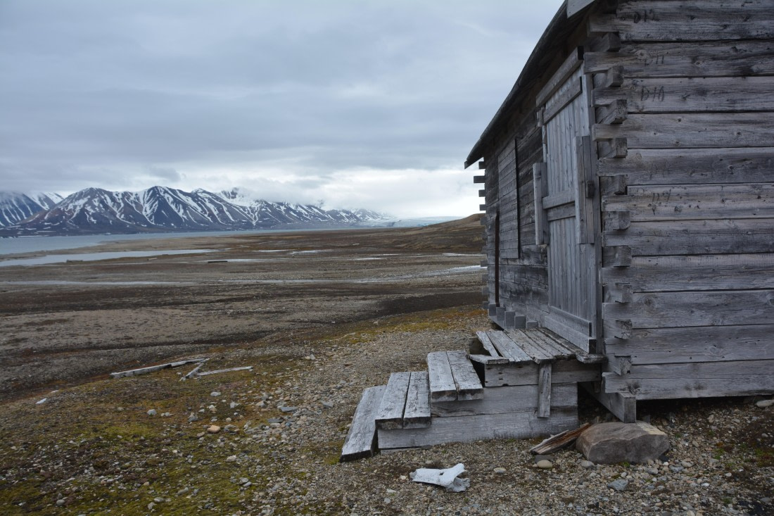 PLA04-24, Day 7, DSC_0668 © Paolo Bellezze - Oceanwide Expeditions.jpg