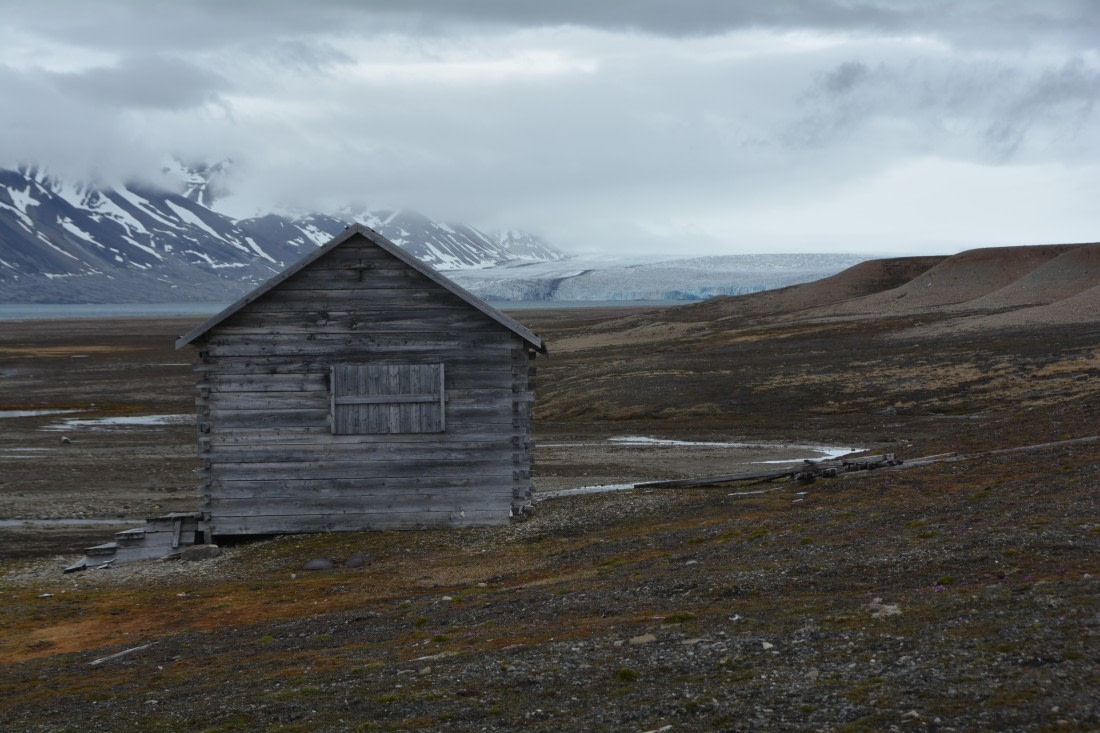 PLA04-24, Day 7, DSC_0669 © Paolo Bellezze - Oceanwide Expeditions.jpg